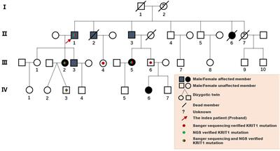 Molecular genetic features and clinical manifestations in Chinese familial cerebral cavernous malformation: from a novel KRIT1/CCM1 mutation (c.1119dupT) to an overall view